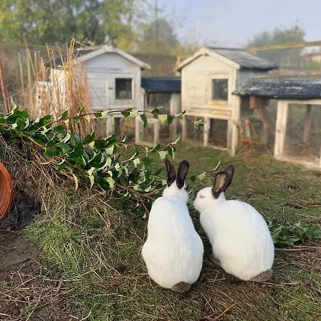 Flower Farm